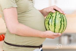 孕妇可以吃网瓜,网瓜的营养与食用指南