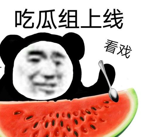 大瓜吃瓜的视频,揭秘热门视频背后的精彩故事