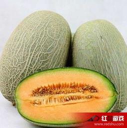 哈密瓜吃鸡,一场味蕾的盛宴