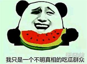 吃瓜群众爱吃瓜什么意思,吃瓜群众偏爱哪些瓜类美食