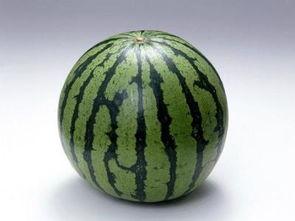 减肥可以吃次瓜吗,次瓜是否适宜食用？