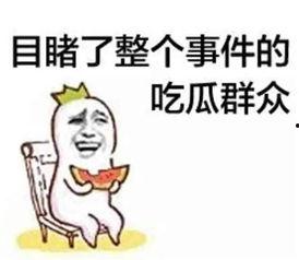 带你吃瓜唱歌系列,畅游娱乐盛宴