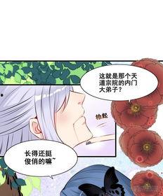 吃瓜女主素养,吃瓜女主的素养之道