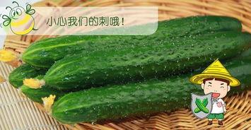 吃瓜视频配谁的