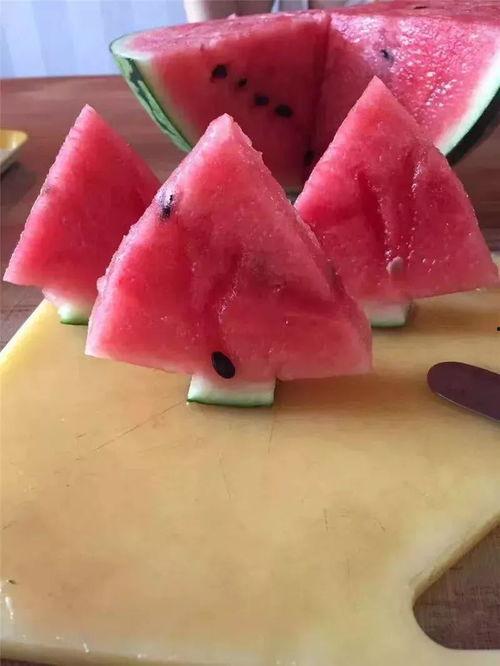 兔子吃烂瓜,探寻动物饮食中的奇妙偏好