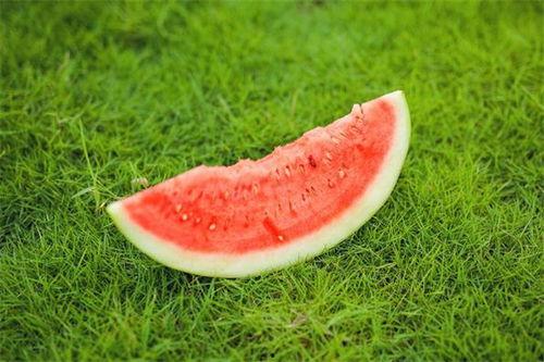 吃瓜嘴巴会发麻,揭秘奇特现象背后的科学原理