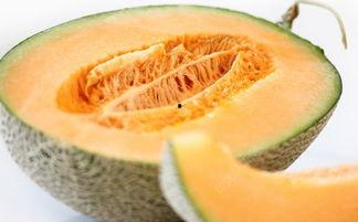 吃蜜瓜烂舌头,揭秘吃蜜瓜烂舌头背后的科学奥秘